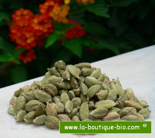 <b>CARDAMOM</b><br>ORGANIC CULTIVATION certified<br>50 grs