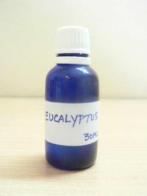 <b>EO - EUCALYPTUS</B></BR>WILD AND ORGANIC<br><B>Blue glass bottle of 30 ml</B>