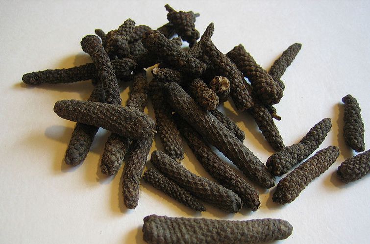 <b>LONG PEPPER - WHOLE</b><br>PIPALLI - Piper Longum<br>THIPILLI - ORGANIC AND WILD<br>WHOLE PIPALLI - 50 grs